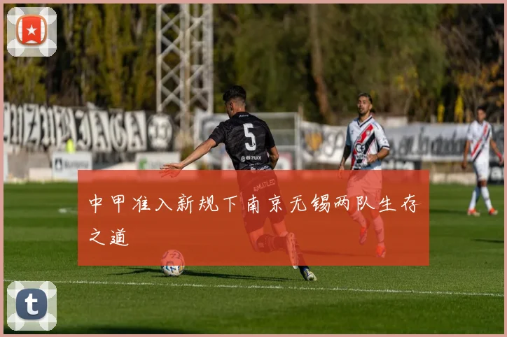 中甲准入新规下南京无锡两队生存之道