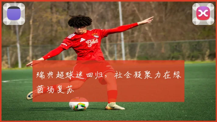 瑞典超球迷回归，社会凝聚力在绿茵场复苏