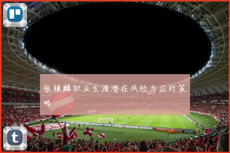 张镇麟职业生涯潜在风险与应对策略