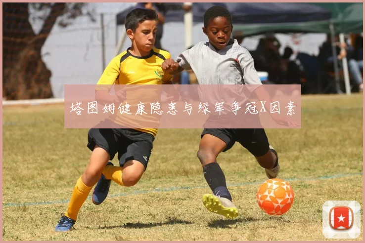 塔图姆健康隐患与绿军争冠X因素