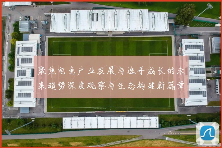 聚焦电竞产业发展与选手成长的未来趋势深度观察与生态构建新篇章