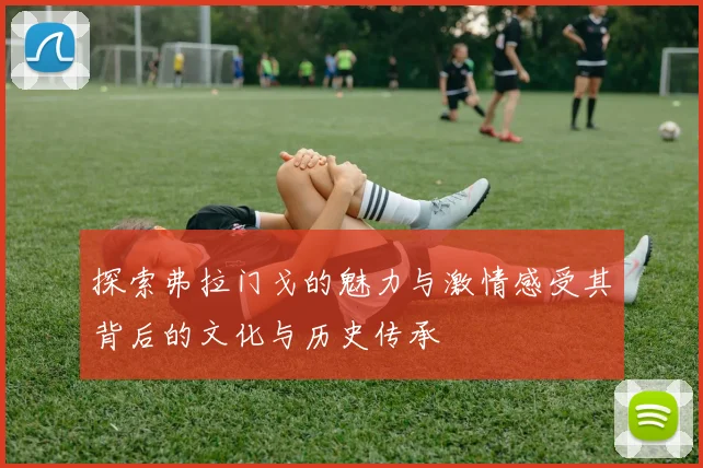 探索弗拉门戈的魅力与激情感受其背后的文化与历史传承
