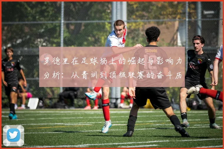 罗德里在足球场上的崛起与影响力分析：从青训到顶级联赛的奋斗历程
