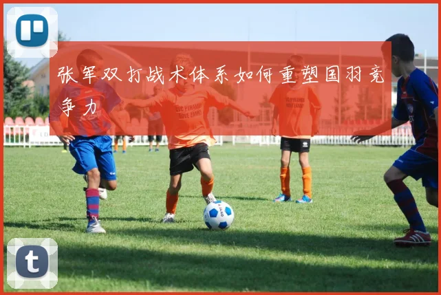张军双打战术体系如何重塑国羽竞争力